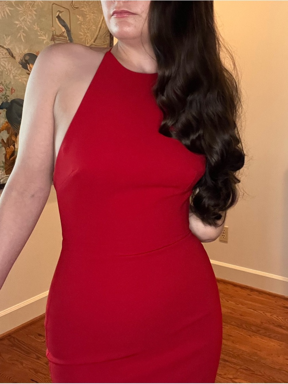 Alex Perry Red Dress - Picture 15 of 16